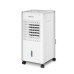 Кліматичний комплекс ZELMER ZCL6030