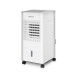 Кліматичний комплекс ZELMER ZCL6040